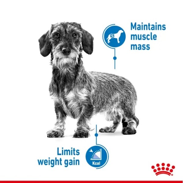 Royal Canin Light Weight Care Mini - Пълноценна суха храна за кучета от дребни породи с наднормено тегло